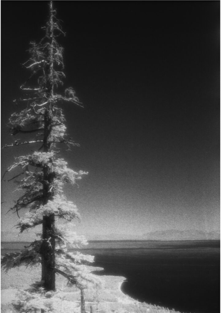 lone pine infrared copy